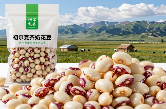 切尔克齐奶花芸豆-展庭百科汇