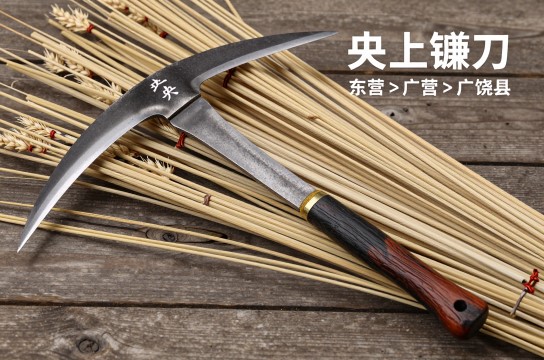 央上镰刀-展庭百科汇