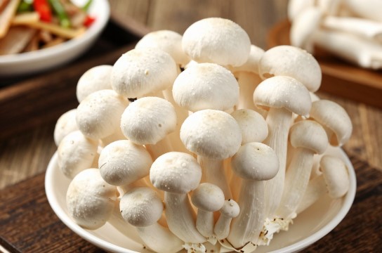 青县白灵菇-展庭百科汇