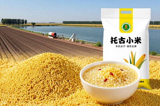 托古小米-展庭百科汇
