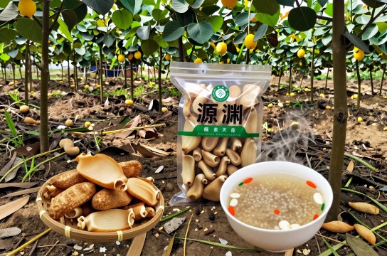 万州鲜天麻