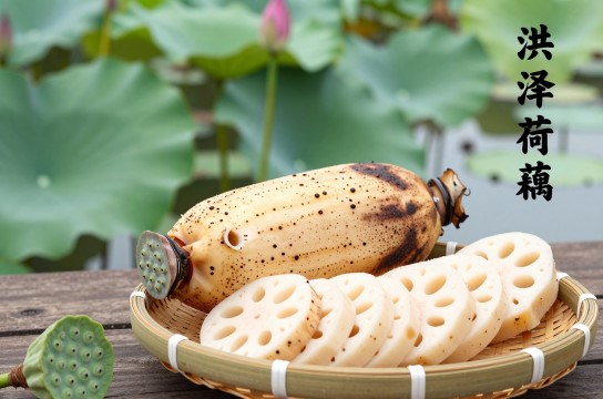 洪泽荷藕-展庭百科汇