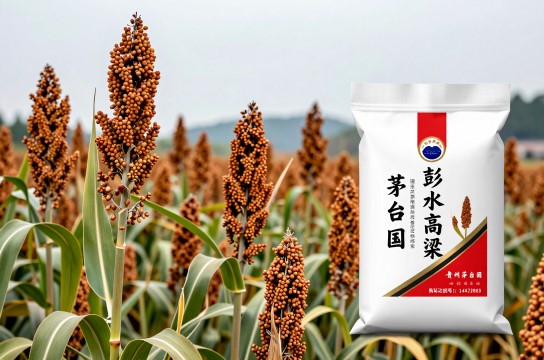 彭水高粱-展庭百科汇
