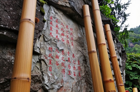 竹溪贡木-展庭百科汇