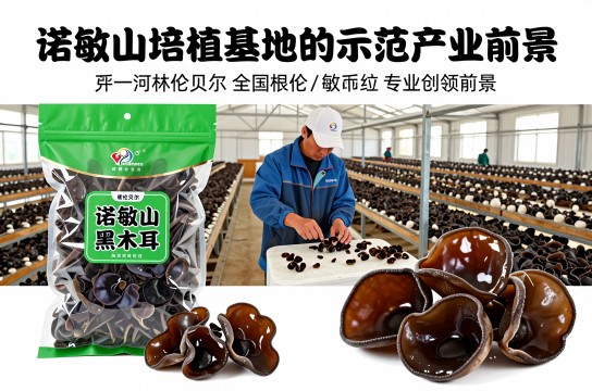 诺敏山黑木耳是哪里的特产?_内蒙古食用菌类介绍-展庭百科汇