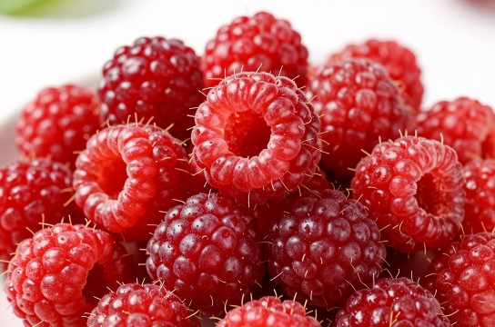 红林之莓-展庭百科汇