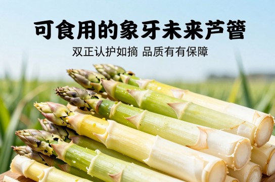 娄店芦笋