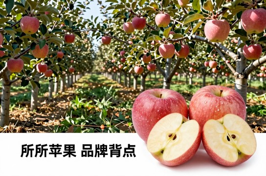 前所苹果