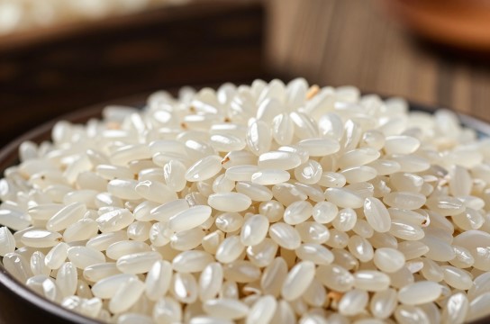 白果贡米-展庭百科汇