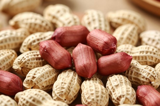 赖坊红衣花生-展庭百科汇