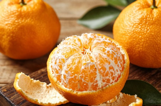 得荣皱皮柑-展庭百科汇