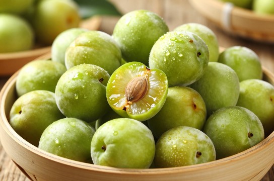 平桂青梅-展庭百科汇