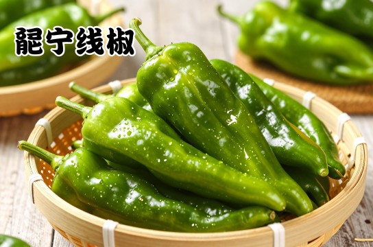 邕宁线椒-展庭百科汇