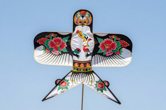 天津风筝-展庭百科汇