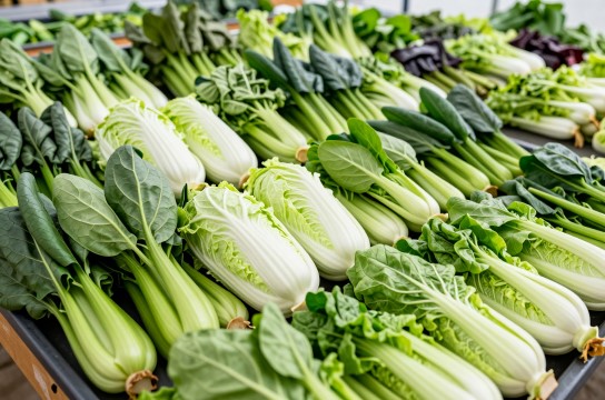 董浜快餐蔬菜-展庭百科汇