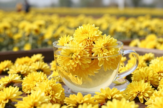 富硒皇菊-展庭百科汇