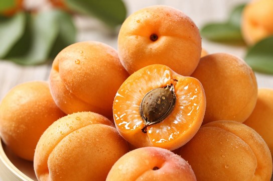 石片黄杏-展庭百科汇