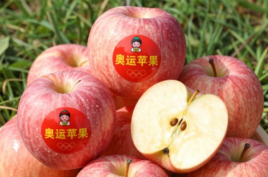 中宁苹果是哪里的特产?_宁夏水果介绍-展庭百科汇