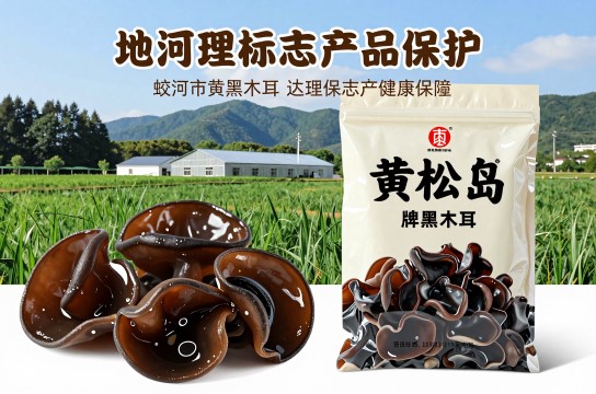 黄松甸黑木耳是哪里的特产?_吉林食用菌类介绍-展庭百科汇