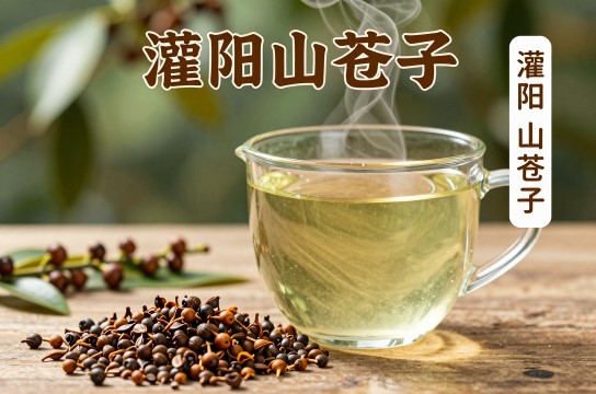 灌阳山苍子