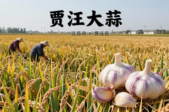 贾汪大蒜-展庭百科汇