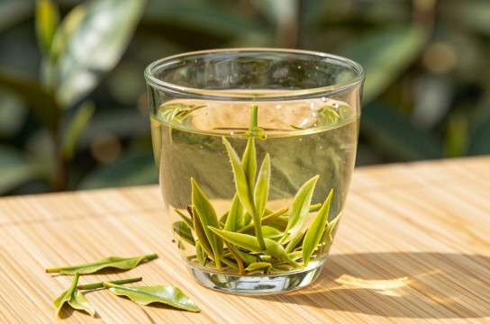 兴山白茶-展庭百科汇