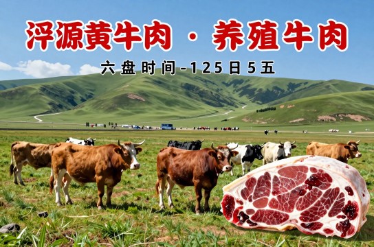泾源黄牛肉