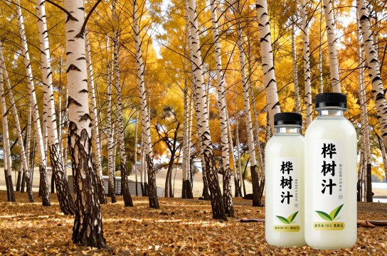 桦树汁-展庭百科汇