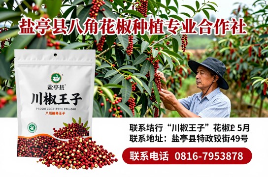 “川椒王子”花椒