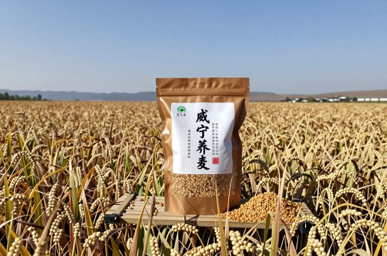 威宁荞麦是哪里的特产?_贵州粮食作物介绍-展庭百科汇