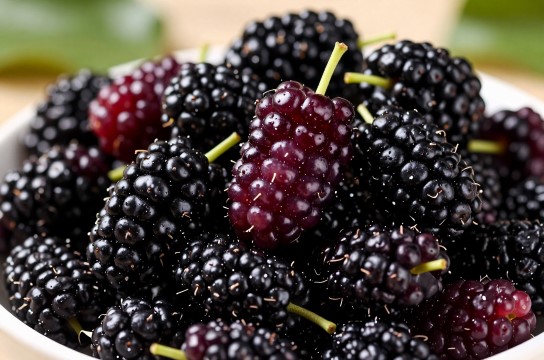 霍城桑葚-展庭百科汇