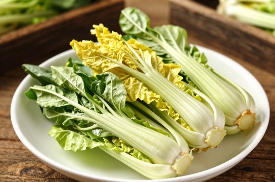 白蒲黄芽菜