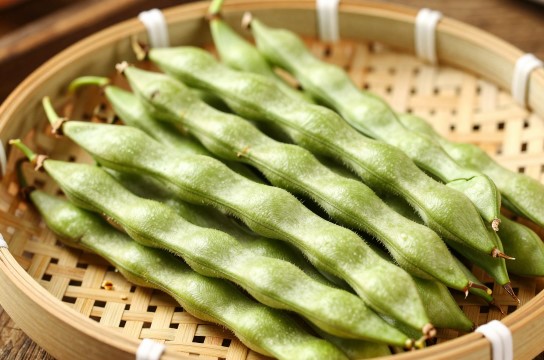 龙川金钩豆是哪里的特产?_广东农产品介绍-展庭百科汇