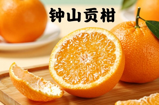 钟山贡柑