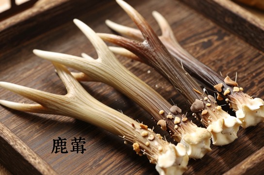 鹿葺是哪里的特产?_吉林药用特产介绍-展庭百科汇