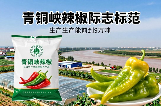 青铜峡辣椒-展庭百科汇