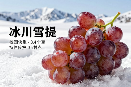 冰川雪提-展庭百科汇