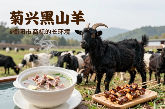 菊兴黑山羊-展庭百科汇