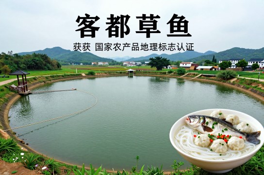 客都草鱼是哪里的特产?_广东水产品介绍-展庭百科汇