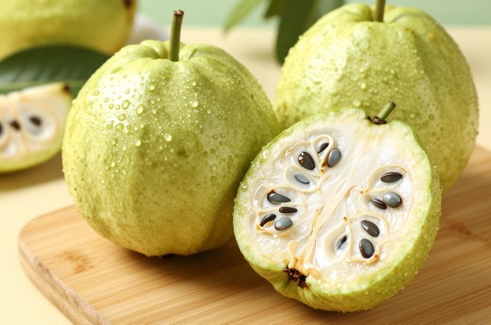 琼海番石榴-展庭百科汇