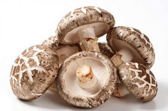 兴隆香菇-展庭百科汇