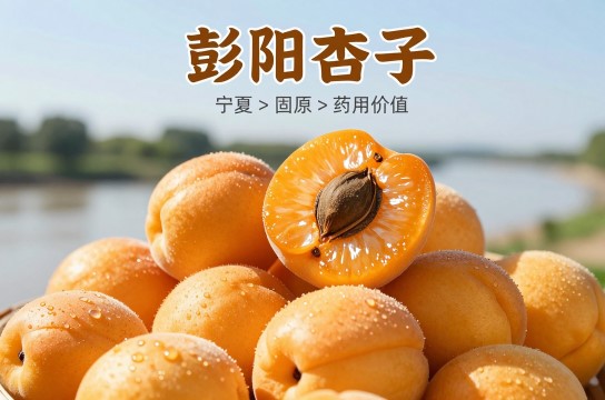 彭阳杏子