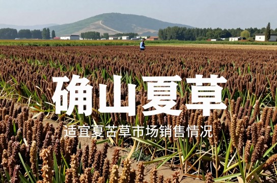 确山夏枯草-展庭百科汇