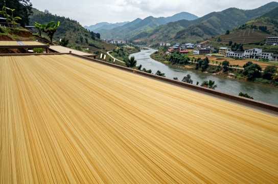 南丹瑶蚕平板丝-展庭百科汇