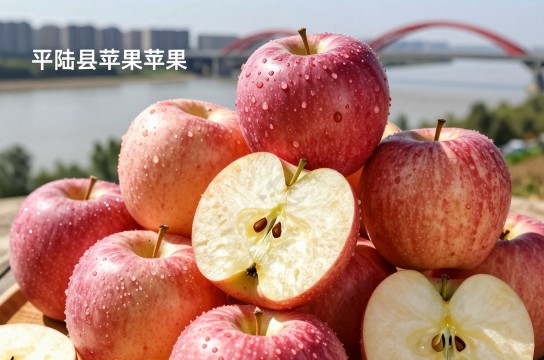 平陆苹果