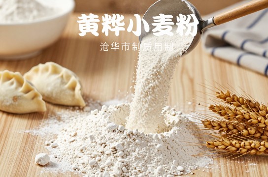黄骅小麦粉-展庭百科汇