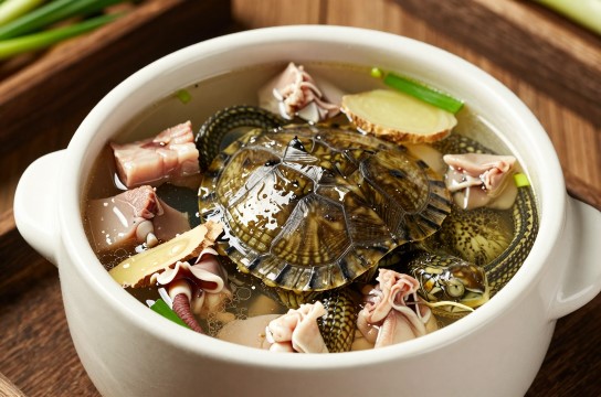 龟蛇大补汤-展庭百科汇