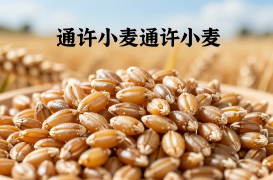 通许小麦-展庭百科汇