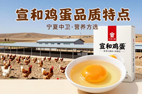 宣和鸡蛋-展庭百科汇