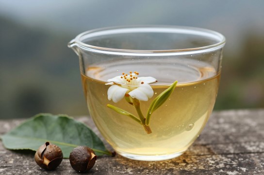 普安四球茶-展庭百科汇